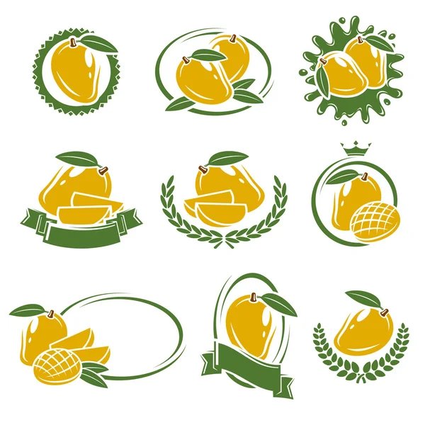 Etiquetas de mango y conjunto de elementos. Vector — Vector de stock