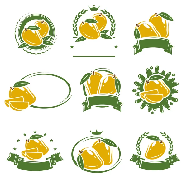 Etiquetas de mango y conjunto de elementos. Vector — Vector de stock