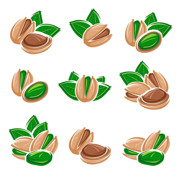 Conjunto de nueces de pistacho. Vector — Vector de stock