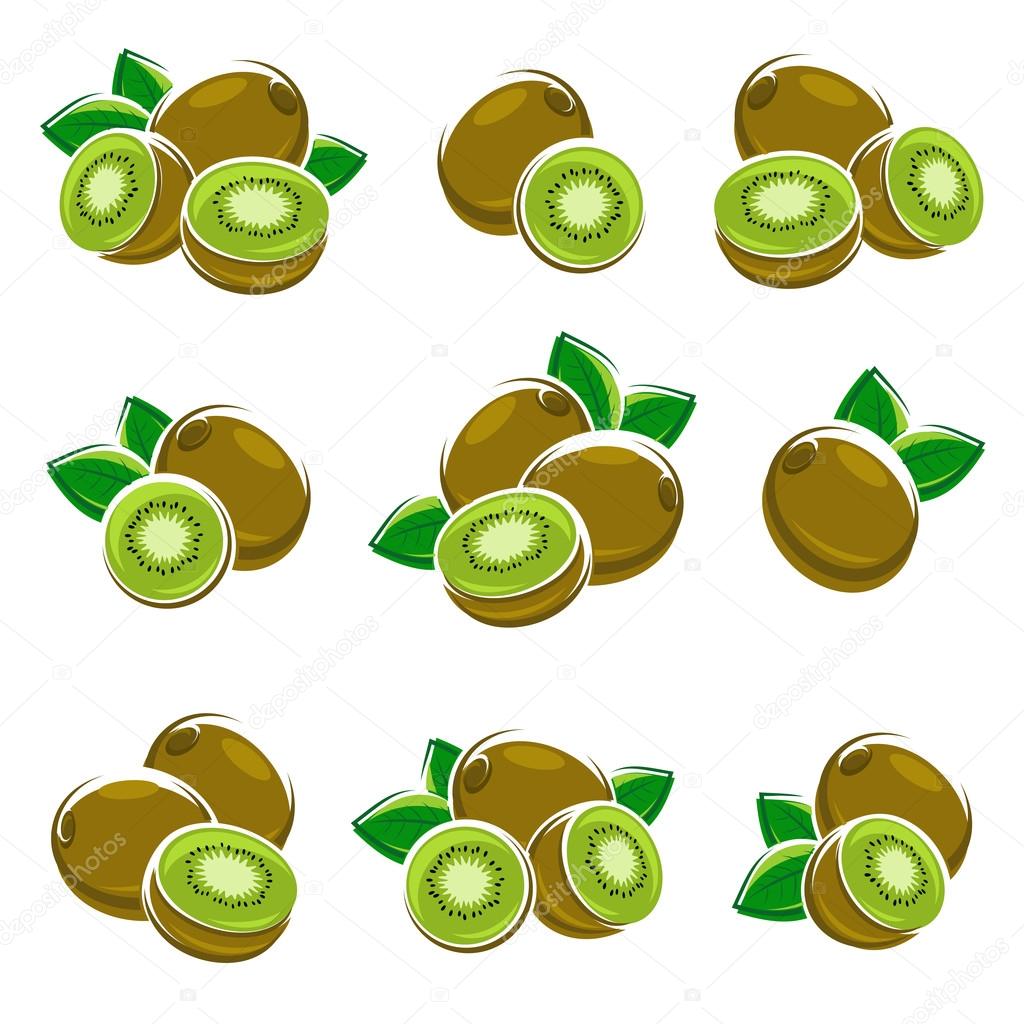 Kiwi set. Vector