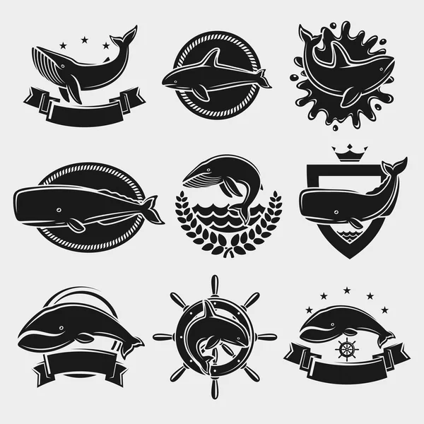 Whale label and icons set. Vector — Stock Vector