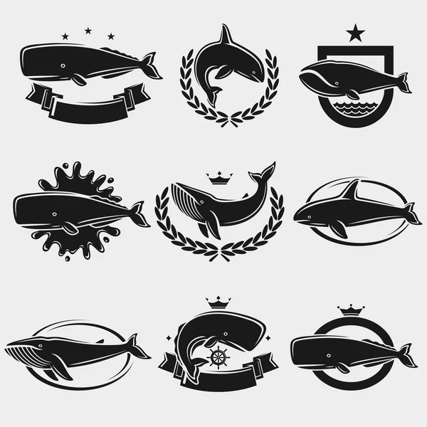 Whale label and icons set. Vector — Stock Vector