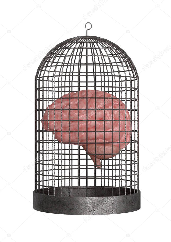 brain trapped in the cage isolated on white background. Cognitive impairment concept. 3D rendering