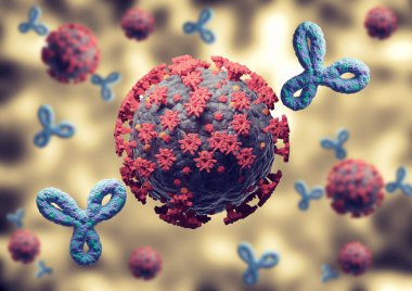 Coronavirus ve Covid-19 'a karşı bağışıklık tepkisi. Aşıyla harekete geçen antikorlar insan vücudundaki virüslere saldırıyor. 3B görüntüleme