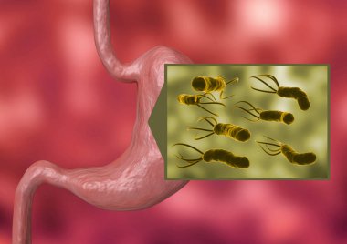 Mikroskobik ortamda Helicobacter Pylori. İnsan midesinde kolonileşen bir bakteri. 3B görüntüleme