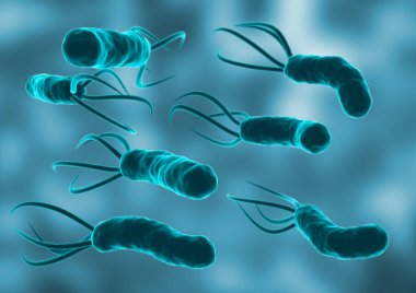 Mikroskobik ortamda Helicobacter Pylori. İnsan midesinde kolonileşen bir bakteri. 3B görüntüleme