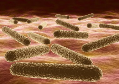 Mikroskobik bakteri görüntüsü Mycobacterium tüberküloz nedensel etken tüberküloz. 3B illüstrasyon