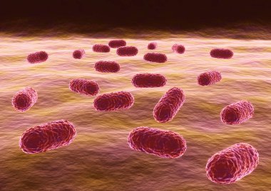 Bakteri asinetobacter baumannii, antibiyotiğe dirençli bakteriler. 3d illüstrasyon