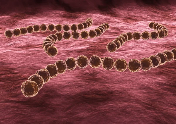 Streptococcus Pyogenes Batterio Patogeno Altamente Infettivo Può Causare Faringite Malattie — Foto Stock