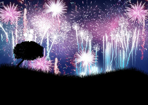 Fireworks spricker i fältet — Stockfoto