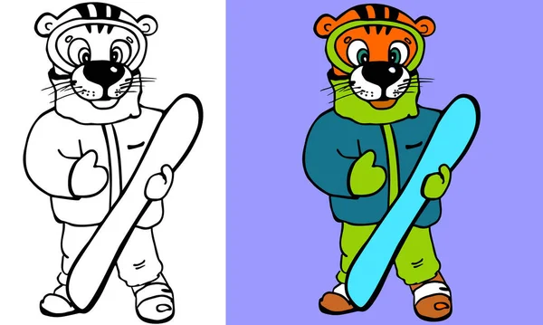 Kar tahtası karikatürlü kaplan, renkli ya da renksiz. Çocuk kitabı için boyama sayfası. Kış sporları posteri ve kış tatil köyü logosu için hoş bir illüstrasyon.