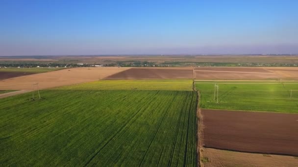 Felder mit verschiedenen Arten der Landwirtschaft — Stockvideo