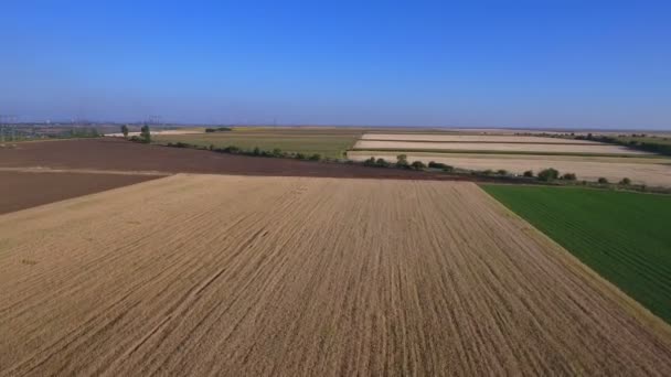 Felder Mit Verschiedenen Arten Der Landwirtschaft Sommer Luftaufnahme — Stockvideo