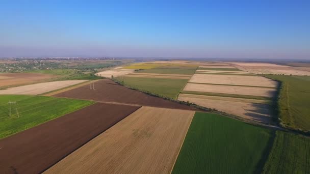 Velden met verschillende soorten landbouw — Stockvideo