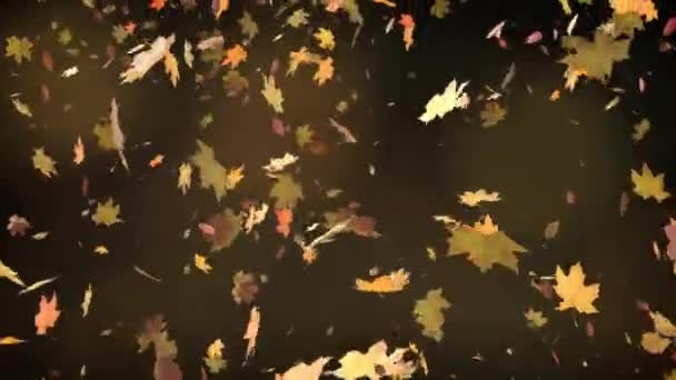 Осенние Листья Медленно Опадают Разряженном Фоне Фон Осеннего Сезона Петли — стоковое видео