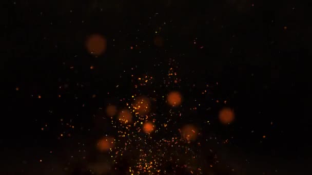 炽热的火花在黑色的背景上燃烧 从夜间大火中飞舞的胚胎 带有发光粒子的抽象火 慢动作3D动画循环4K — 图库视频影像