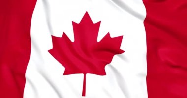 Kanada bayrağı 3D 'ye yakın el sallıyor. Kusursuz döngülü Kanada bayrağı animasyonu 4k