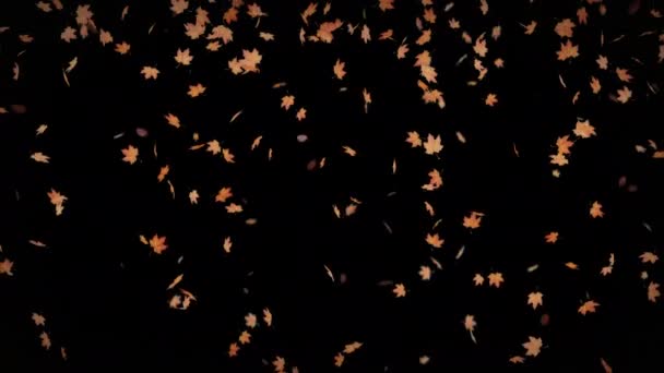 Alpha Channel Sonbahar Yaprakları Dökülüyor Animasyon Şeffaf Arkaplanlıdır Böylece Yeni — Stok video