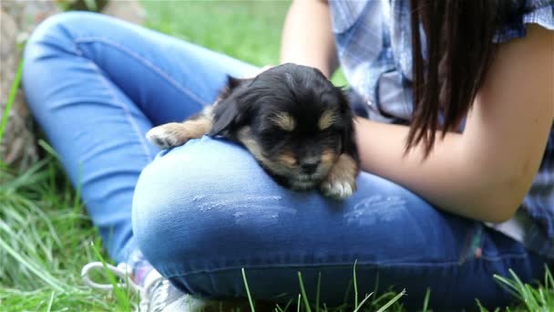 Chica con su cachorro — Vídeo de stock