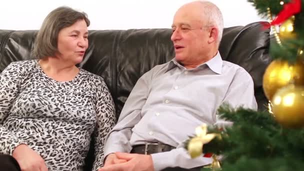 Starší pár mluvit u vánočního stromu — Stock video
