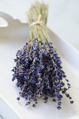bir avuç lavanta.