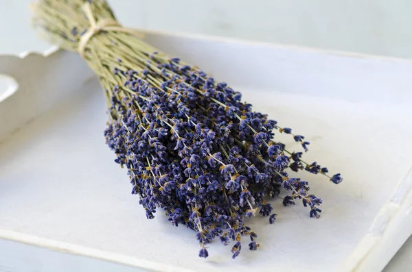 Un montón de lavanda . — Foto de Stock