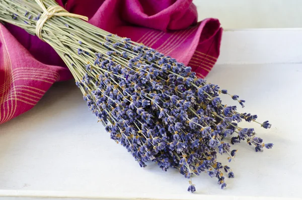 Um monte de lavanda. . — Fotografia de Stock