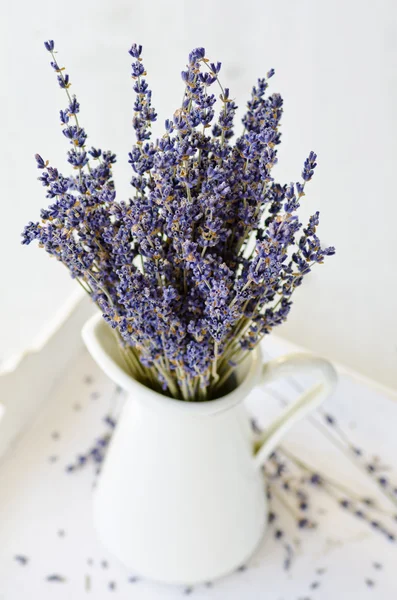 Lavendel blommor gäng. — Stockfoto