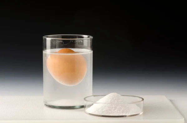 Fysik Vetenskapligt Experiment Vattentäthet Ägg Flyter Saltvatten Svart Bakgrund Royaltyfria Stockfoton