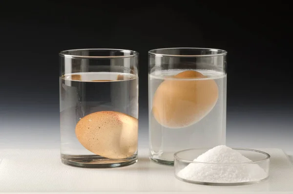 Physics Water Density Science Experiment Egg Floating Salt Water Black Stock Photo