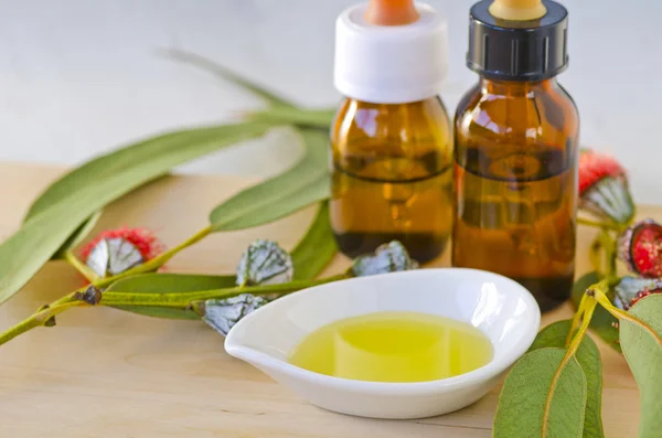 Eucalyptus essential oil. — Stock Photo, Image