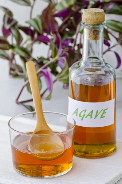 Agave σιρόπι — Φωτογραφία Αρχείου