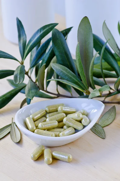 Olive leaf extract v kapslích. Doplňky stravy. — Stock fotografie