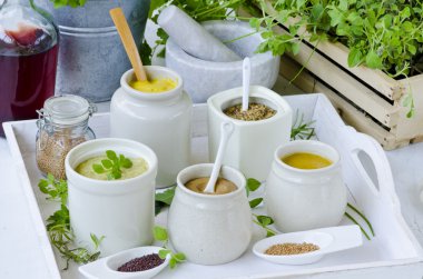 Otlar ve baharatlar. Mustards çeşitli.