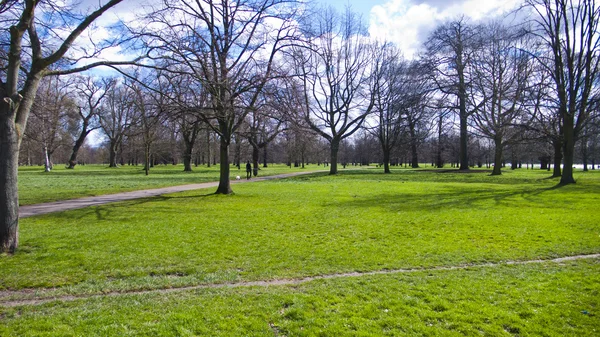 Kensington garden. London. Vereinigtes Königreich. — Stockfoto