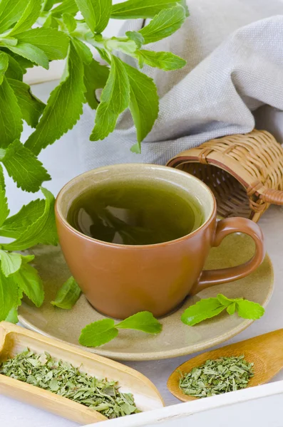 Stevia infusie. — Stockfoto