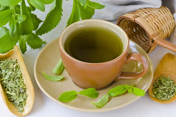 Stevia infusie. — Stockfoto