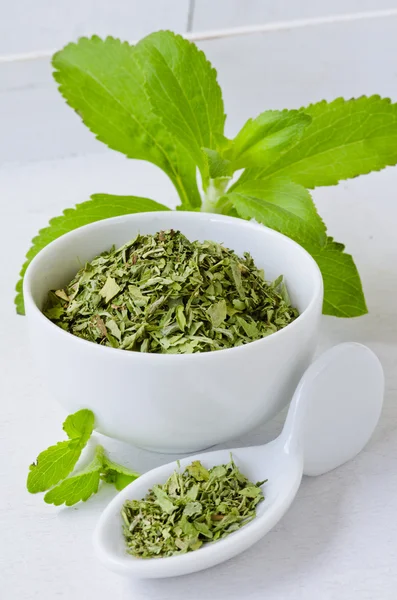 Stevia verse en gedroogde bladeren. — Stockfoto