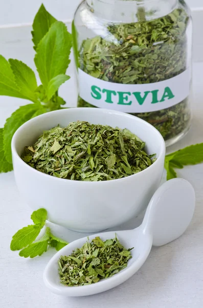 Stevia taze ve kurutulmuş yaprakları.