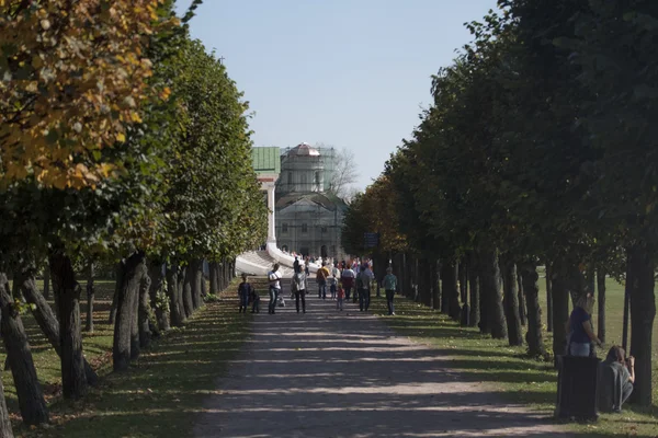 Nature, look, city — Stock Photo, Image