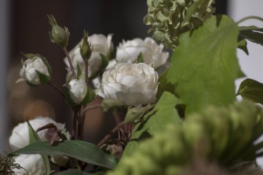 Çiçekler, Doğa, buket