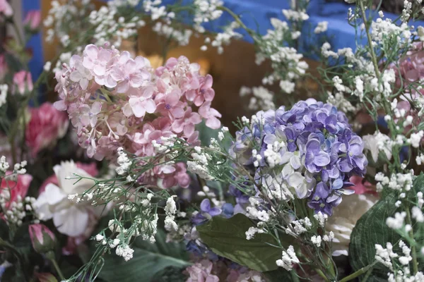 Macizo de flores — Foto de Stock