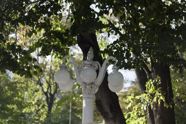 Lantern, lamp, light — Stock Photo, Image