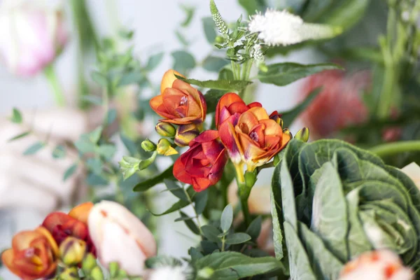 Bright orange freesia at a flower shop — Stock Photo, Image