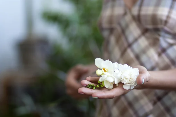 Holding ihale beyaz çiçekler çiçekçi Telifsiz Stok Imajlar