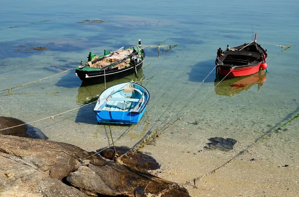 Barche da pesca sulla costa — Foto Stock