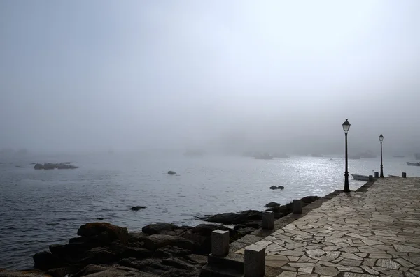 Paesaggio costiero nella nebbia — Foto Stock