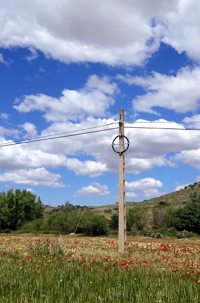 Landschaft mit Betonpfosten — Stockfoto