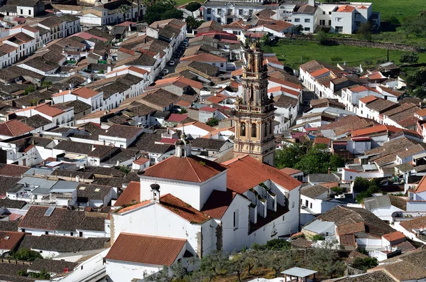 Aerial view with tower — 스톡 사진