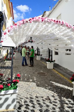 Çiçek Festivali (festas do povo, Campo Maior 2015, Portekiz)